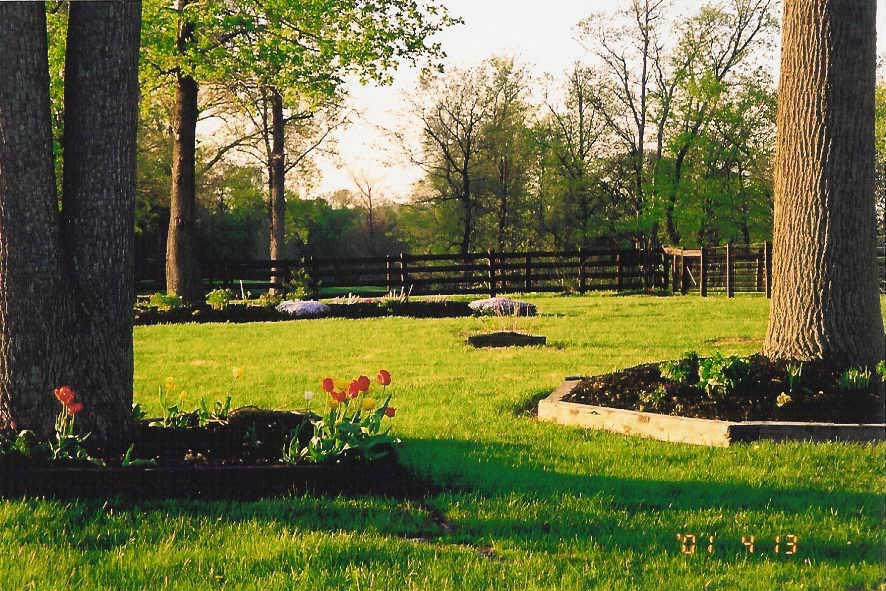 Bear Hollow Indiana Colored Mulch Dealers