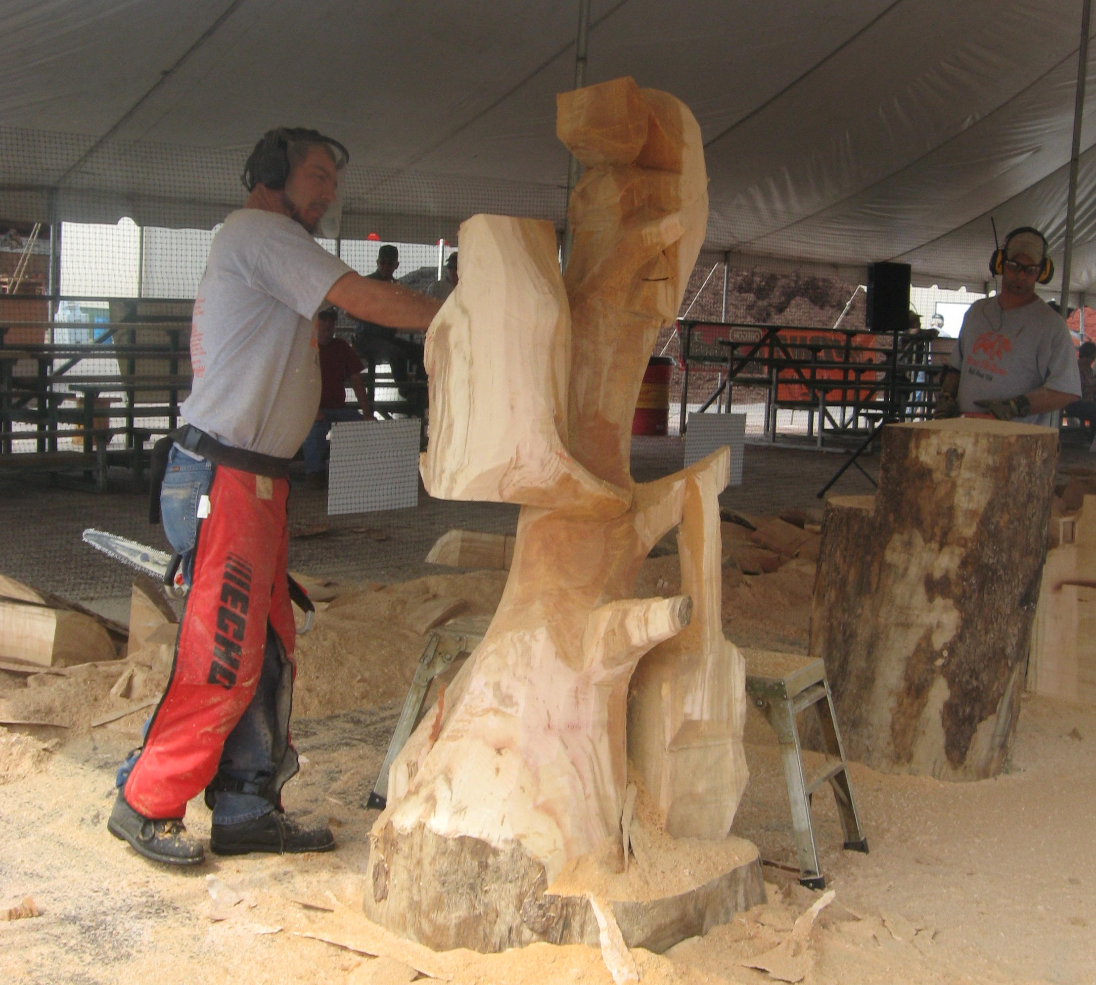 Chainsaw Bear Carving